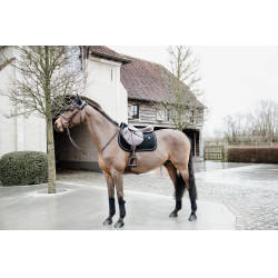 Zadeldek Basic Velvet jumping Kentucky Zwart Zadeldek Basic Velvet jumping Kentucky Zwart