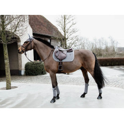 Tapis de selle Basic Velvet jumping Kentucky