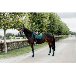 Tapis de selle Velvet dressage Kentucky Vert foncé