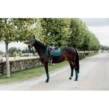 Tapis de selle Velvet dressage Kentucky Vert foncé