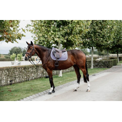 Tapis de selle Velvet jumping Kentucky Mauve Violet