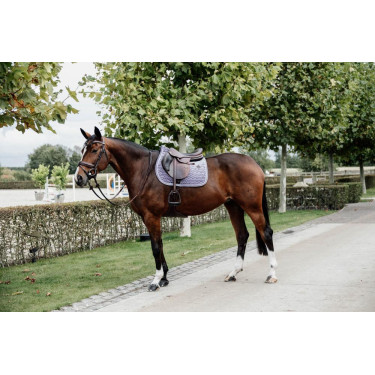 Tapis de selle Velvet jumping Kentucky Mauve Tapis de selle Velvet jumping Kentucky Mauve