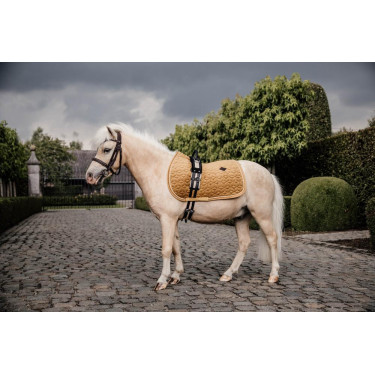 Tapis de selle Velvet jumping Kentucky Tapis de selle Velvet jumping Kentucky