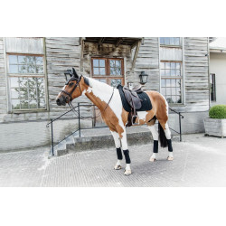 Tapis de selle Velvet Pearls dressage Kentucky Noir