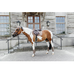 Tapis de selle Velvet Pearls jumping Kentucky Beige Tapis de selle Velvet Pearls jumping Kentucky Beige
