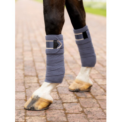 Polo bandages Loire LeMieux Blauwe gaai