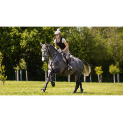 Zadeldek veelzijdigheid LeMieux Loire Classic GP Square Walnoot Bruin