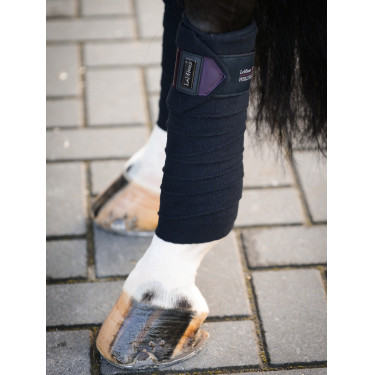 Bandes de polo LeMieux Spectrum Bandes de polo LeMieux Spectrum