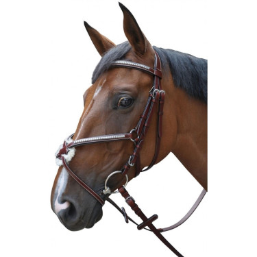 Bridon Lexington Tucson Gevlochten Bridon Lexington Tucson Gevlochten
