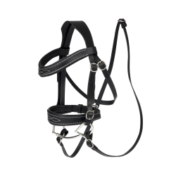Bridon de concours LeMieux pour Hobby Horse
