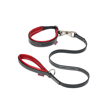 Collier et laisse pour chiot LeMieux Toy Chilli