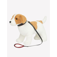 Collier et laisse pour chiot LeMieux Toy Chilli Collier et laisse pour chiot LeMieux Toy Chilli