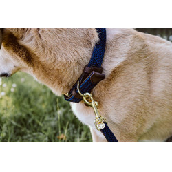 Collier pour chien Plaited Nylon Kentucky Bleu marine Collier pour chien Plaited Nylon Kentucky Bleu marine