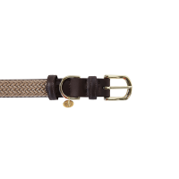 Collier pour chien Plaited Nylon Kentucky Beige