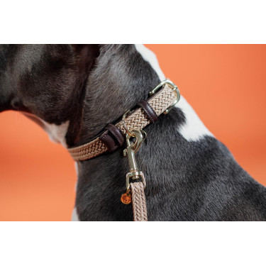 Collier pour chien Plaited Nylon Kentucky Beige