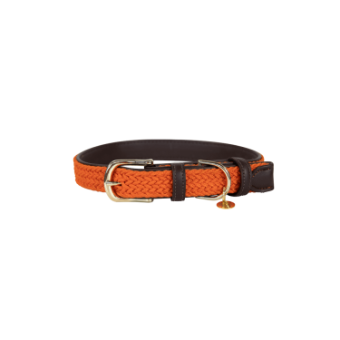 Halsband voor hond Gevlochten Nylon Kentucky Halsband voor hond Gevlochten Nylon Kentucky