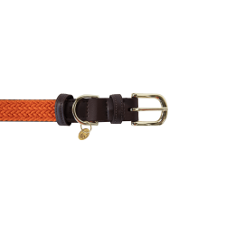 Halsband voor hond Gevlochten Nylon Kentucky Halsband voor hond Gevlochten Nylon Kentucky