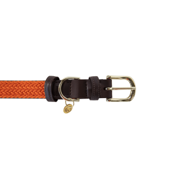 Halsband voor hond Gevlochten Nylon Kentucky Halsband voor hond Gevlochten Nylon Kentucky