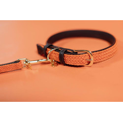 Halsband voor hond Gevlochten Nylon Kentucky Halsband voor hond Gevlochten Nylon Kentucky