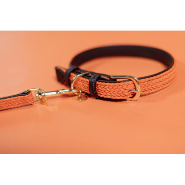 Halsband voor hond Gevlochten Nylon Kentucky Halsband voor hond Gevlochten Nylon Kentucky