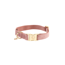 Collier pour chien Velvet Kentucky Vieux rose