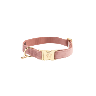 Collier pour chien Velvet Kentucky Vieux rose
