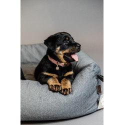 Collier pour chien Velvet Kentucky Vieux rose