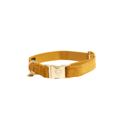 Collier pour chien Velvet Kentucky Moutarde Jaune Collier pour chien Velvet Kentucky Moutarde Jaune