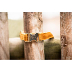 Collier pour chien Velvet Kentucky Moutarde Jaune Collier pour chien Velvet Kentucky Moutarde Jaune