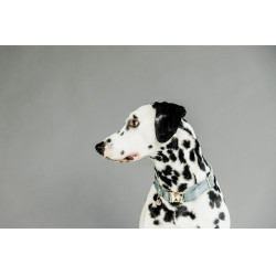 Collier pour chien Velvet Kentucky Bleu clair