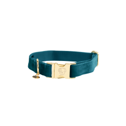 Collier pour chien Velvet Kentucky Emeraude Vert