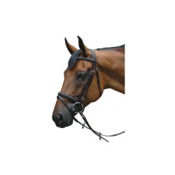 Bridon Pull Back Le Touquet Privilege Equitatie Bridon Pull Back Le Touquet Privilege Equitatie