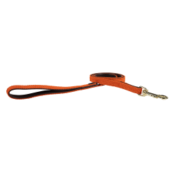 Laisse pour chien Plaited Nylon 120 cm Kentucky Orange Laisse pour chien Plaited Nylon 120 cm Kentucky Orange