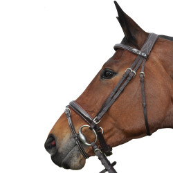 Bridon Pull Back Cannes Privilege Equitatie