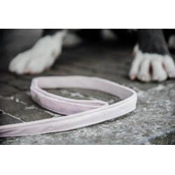 Hondenriem Velvet 120 cm Kentucky Lichtroze