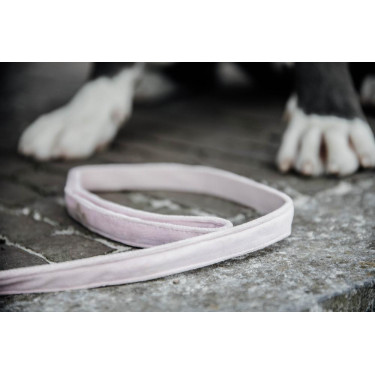 Hondenriem Velvet 120 cm Kentucky Lichtroze