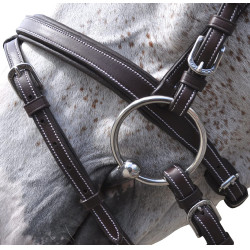 Bridon Göteborg Combiné Flags & Cup