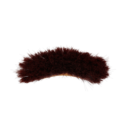 Middellange kurkentrekker Kentucky Bruin