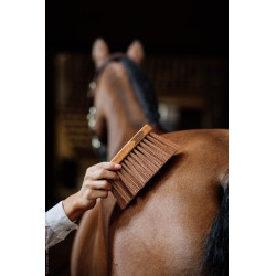 Middelgrote stop medium Kentucky Middelgrote stop medium Kentucky