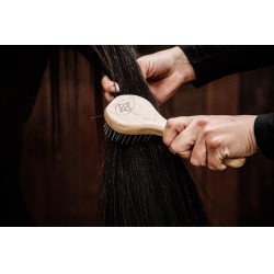 Kentucky borstel met haren Bruin