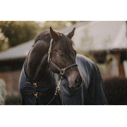 Anti-vliegen deken Kentucky Marineblauw Anti-vliegen deken Kentucky Marineblauw