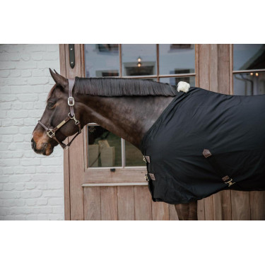 Chemise Coton Kentucky Noir Chemise Coton Kentucky Noir