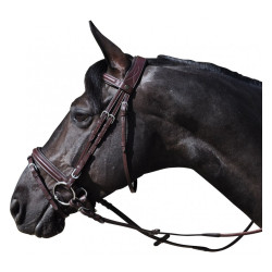 Bridon Hickstead Vlaggen & Beker