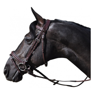 Bridon Hickstead Vlaggen & Beker