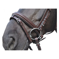 Bridon Hickstead Flags & Cup Bridon Hickstead Flags & Cup