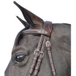 Bridon Hickstead Flags & Cup Bridon Hickstead Flags & Cup