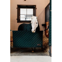 Porte de box Kentucky Vert foncé