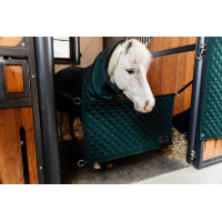 Porte de box Kentucky Vert foncé