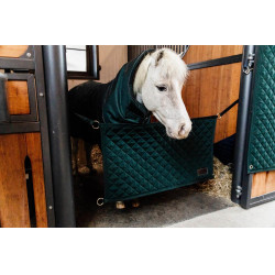 Porte de box Kentucky Vert foncé