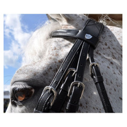 Bride Hagen Flags & Cup